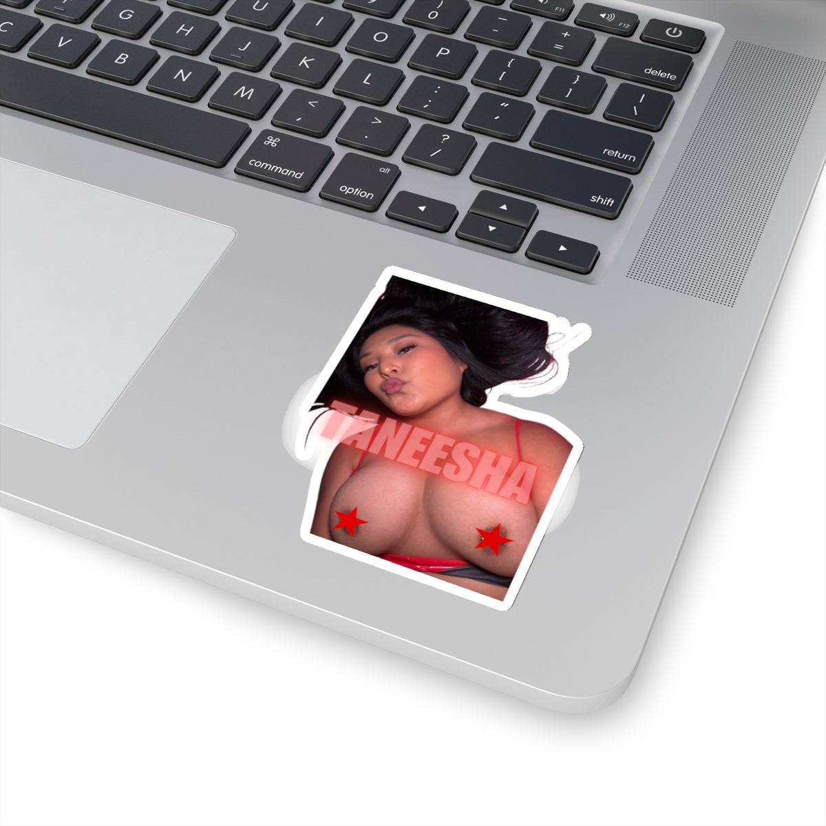 TANEESHA Kiss-Cut Stickers