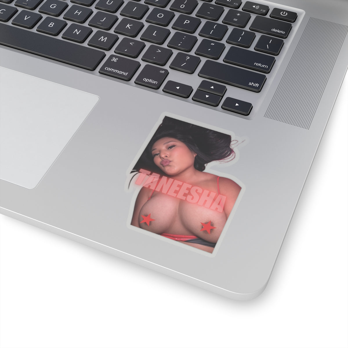 TANEESHA Kiss-Cut Stickers